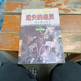 迷失的魂灵--湖北荆沙特大抢劫团伙案侦破纪实