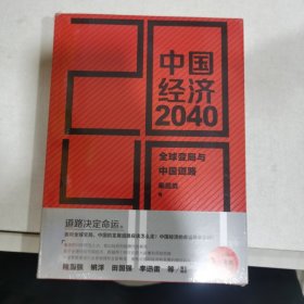 中国经济2040（第2版）