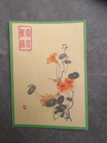 老小画，小画面，金帽花