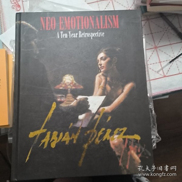 neo emotionalism a ten year retrospective大厚册