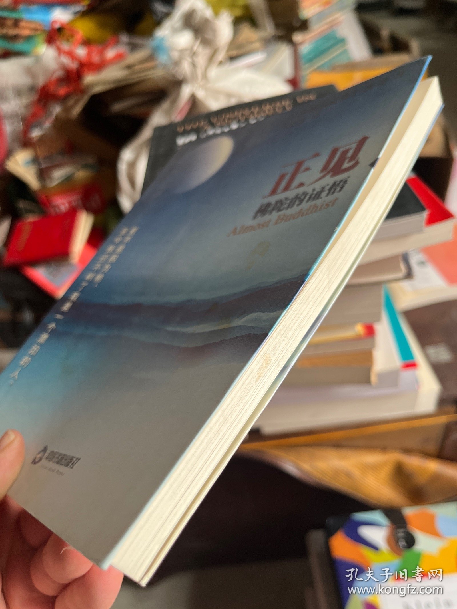 正见：佛陀的证悟