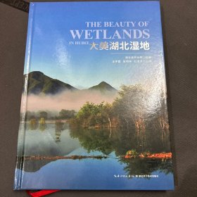 大美湖北湿地 湖北林业局,王学雷,张明祥 等 编 新华文轩网络书店 正版图书