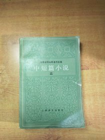 陀思妥耶夫斯基作品集中短篇小说（二，书皮微微磨损）