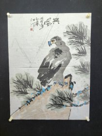 江河，90*68厘米，1934年生于洛阳，现定居北京。师从国画大师李苦禅。擅长牡丹、荷花、雄鹰等题材的中国画创作，尤其高雅脱俗的白牡丹画广受业内好评。其作品被中 南