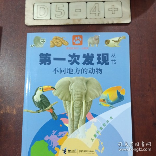 第一次发现丛书透视眼系列：不同地方的动物（动物类）