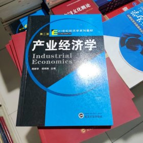 产业经济学（第2版）简新华 武汉大学出版社 9787307069800