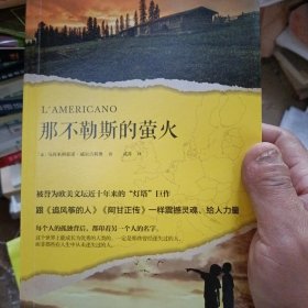 那不勒斯的萤火（被誉为欧美文坛近十年来的“灯塔”巨作，跟《追风筝的人》《阿甘正传》一样震撼灵魂、给人力量。）