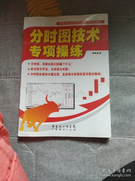 股市赢利技术专项操练丛书系列：分时图技术专项操练