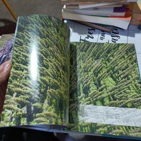 秘境王朗--图说四川王朗国家级自然保护区（摄影画册）