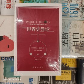 世界史导论