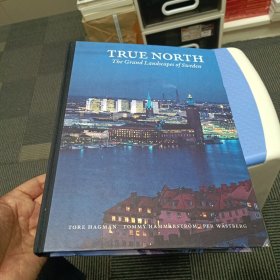 TRUE NORTH