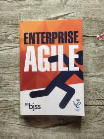 ENTERPRISE AGILE