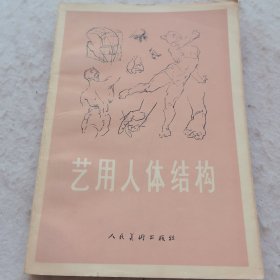 艺用人体结构
