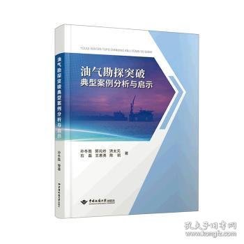 油气勘探突破典型案例分析与启示