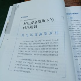 村庄安全:青岛滨海典型乡村规划设计