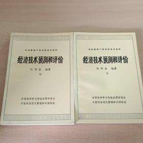 经济技术预测和评价 中 下