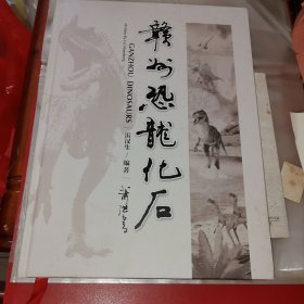 赣州恐龙化石