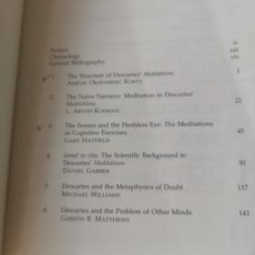 Essays on Descartes' Meditations