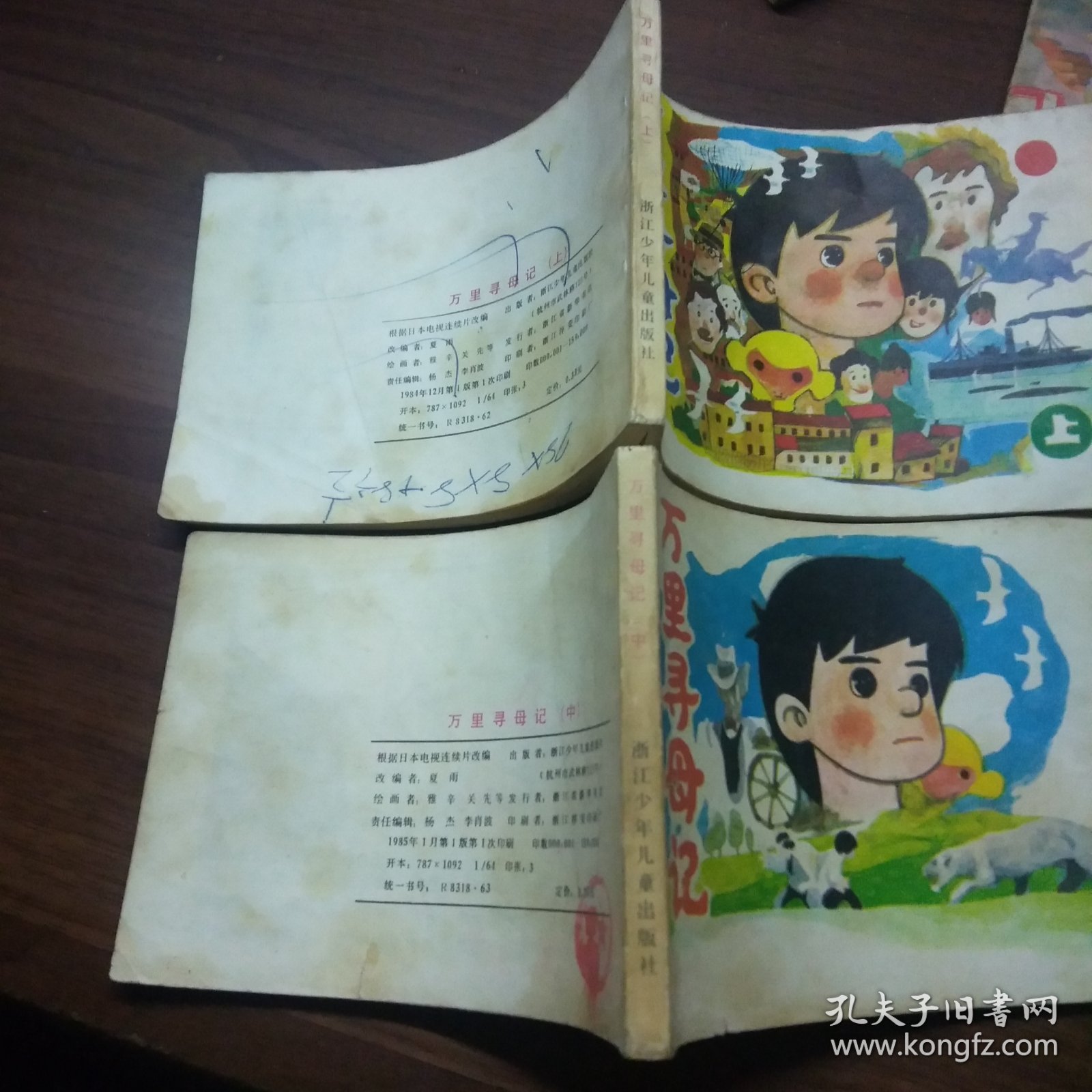 万里寻母记（上中册）