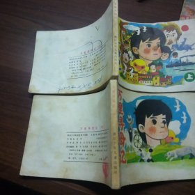 万里寻母记（上中册）