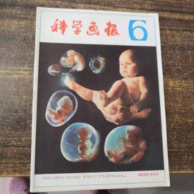 科学画报 1982年第6期