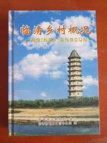 临清乡村概况  （详述本地各乡村的村名来历、历史与现状，一部当地乡村的大百科全书 硬精装）