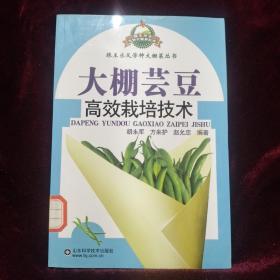 大棚芸豆高效栽培技术