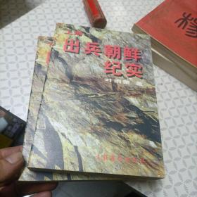 出兵朝鲜纪实（上下两册）