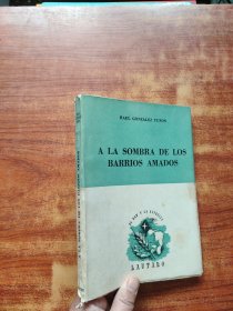 A LA SOMBRA DE LOS BARRIOS AMADOS（32开）平装