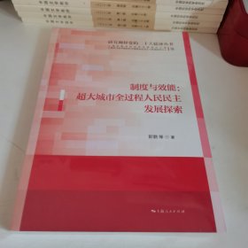 制度与效能：超大城市全过程人民民主发展探索