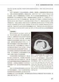实用儿童原发性免疫缺陷病