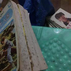 秘密七人团（上中下）：Secret Seven