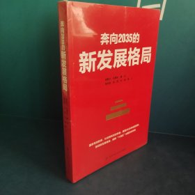 奔向2035的新发展格局