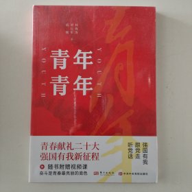 青年青年
