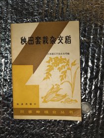 秧田套栽杂交稻