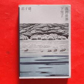 我的世界下雪了（迟子建散文系列）