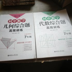 周计划：初中数学几何(代数)综合题高效训练（7年级）