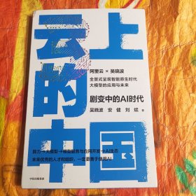 云上的中国3：剧变中的AI时代