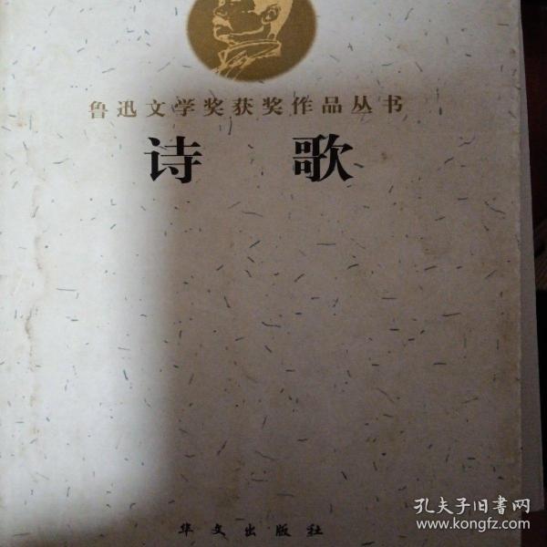 鲁迅文学奖获奖作品丛书：诗歌