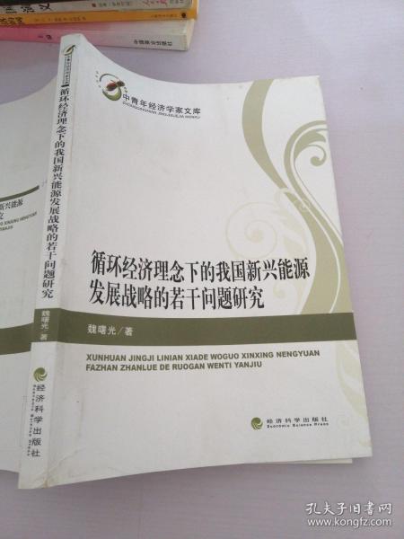 中青年经济学家文库：循环经济理念下的我国新兴能源发展战略的若干问题研究