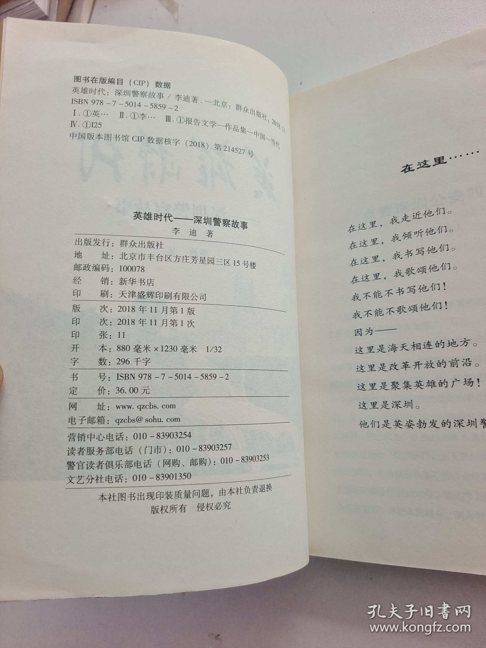 英雄时代:深圳警察故事