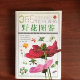 野生花卉：365种野生花卉的彩色图鉴