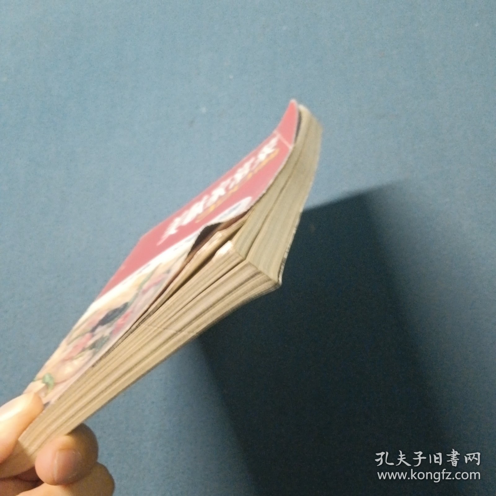 美味家常菜 320 例