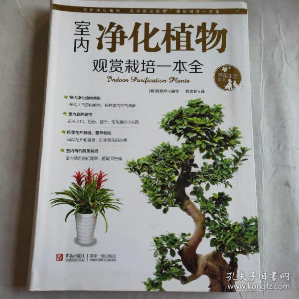 情趣生活系列：室内净化植物观赏栽培一本全