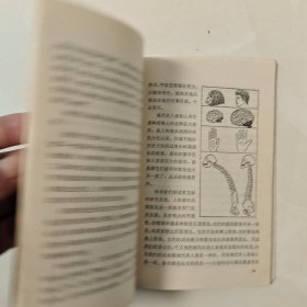 青年科技小顾问