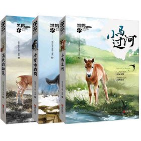 黑鹤非常勇敢系列（共3册）