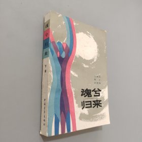 魂兮归来下