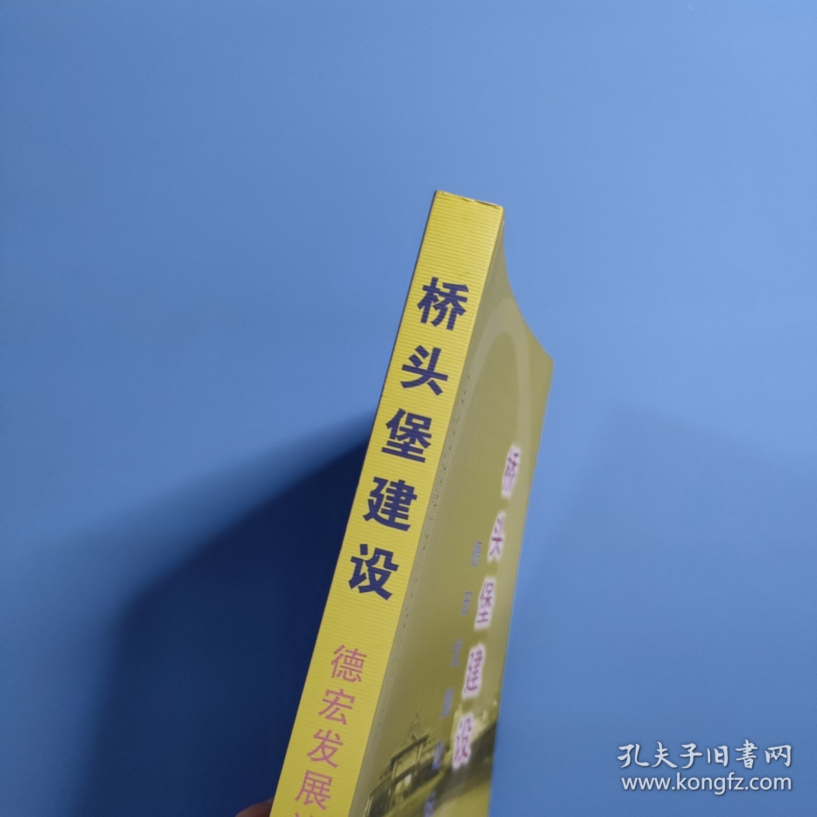 桥头堡建设:德宏发展论坛文集