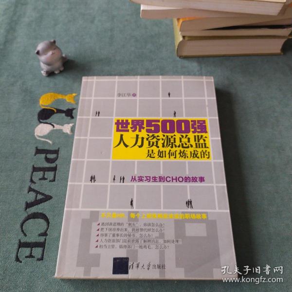 世界500强人力资源总监是如何炼成的：从实习生到CHO的故事