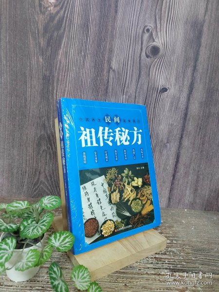 民间祖传秘方 中医书籍养生偏方大全民间老偏方美容养颜常见病防治 保健食疗偏方秘方大全小偏方老偏方中医健康养生保健疗法